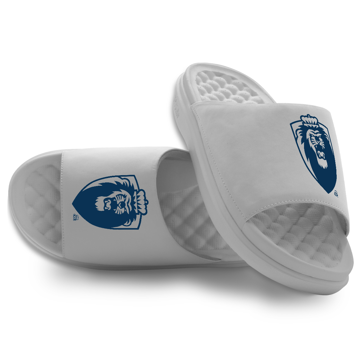 Old Dominion Secondary Logo