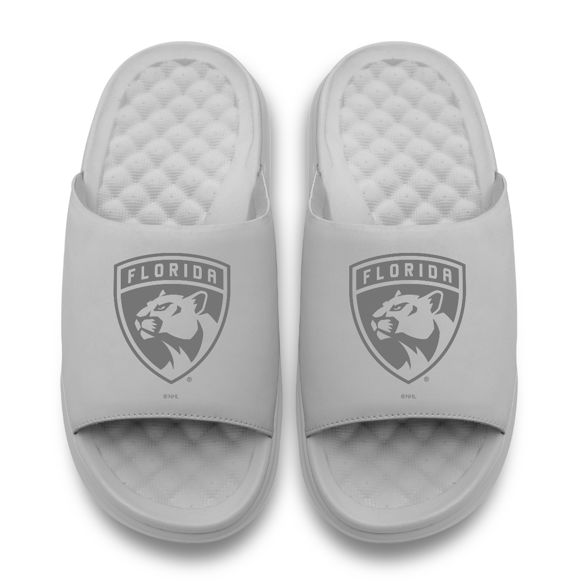 Florida Panthers Tonal Logo