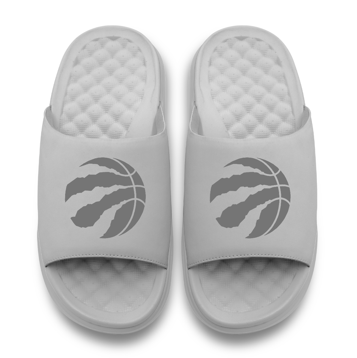 Toronto Raptors Tonal Logo