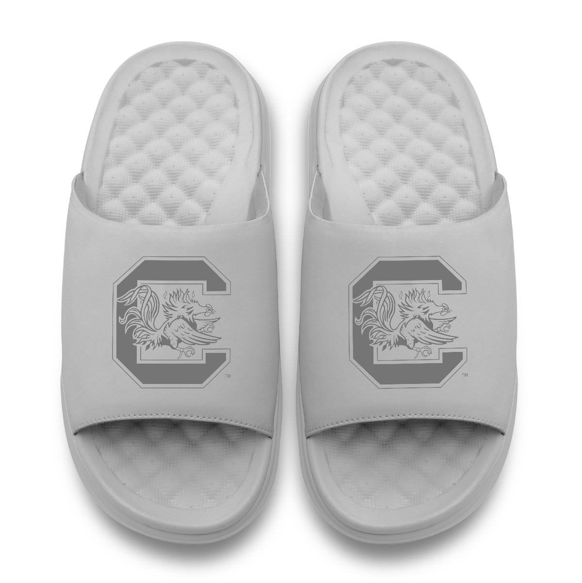 South Carolina Gamecocks Tonal Logo