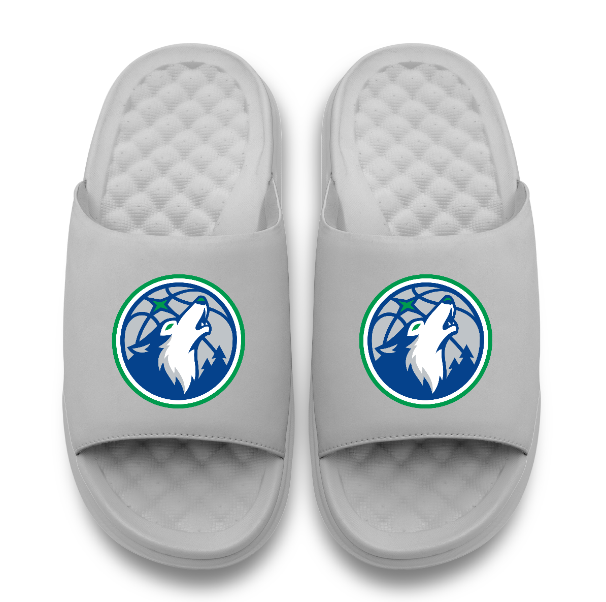Minnesota Timberwolves Primary Logo Motive