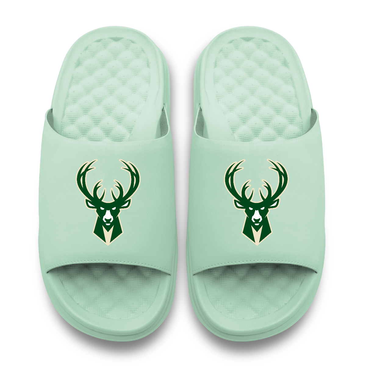 Milwaukee Bucks Primary Logo Seafoam Motive