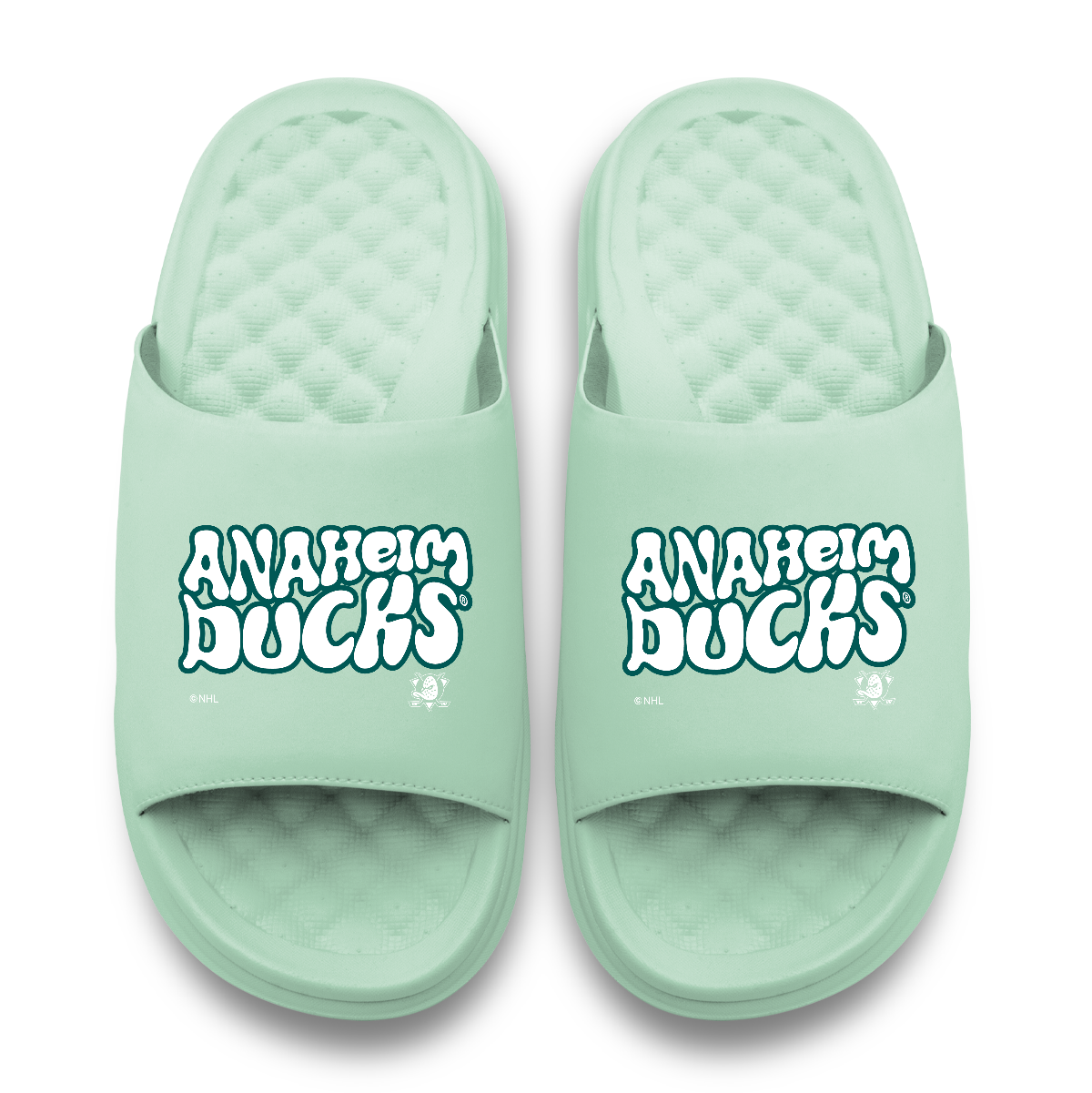 Anaheim Ducks Bubble Letters