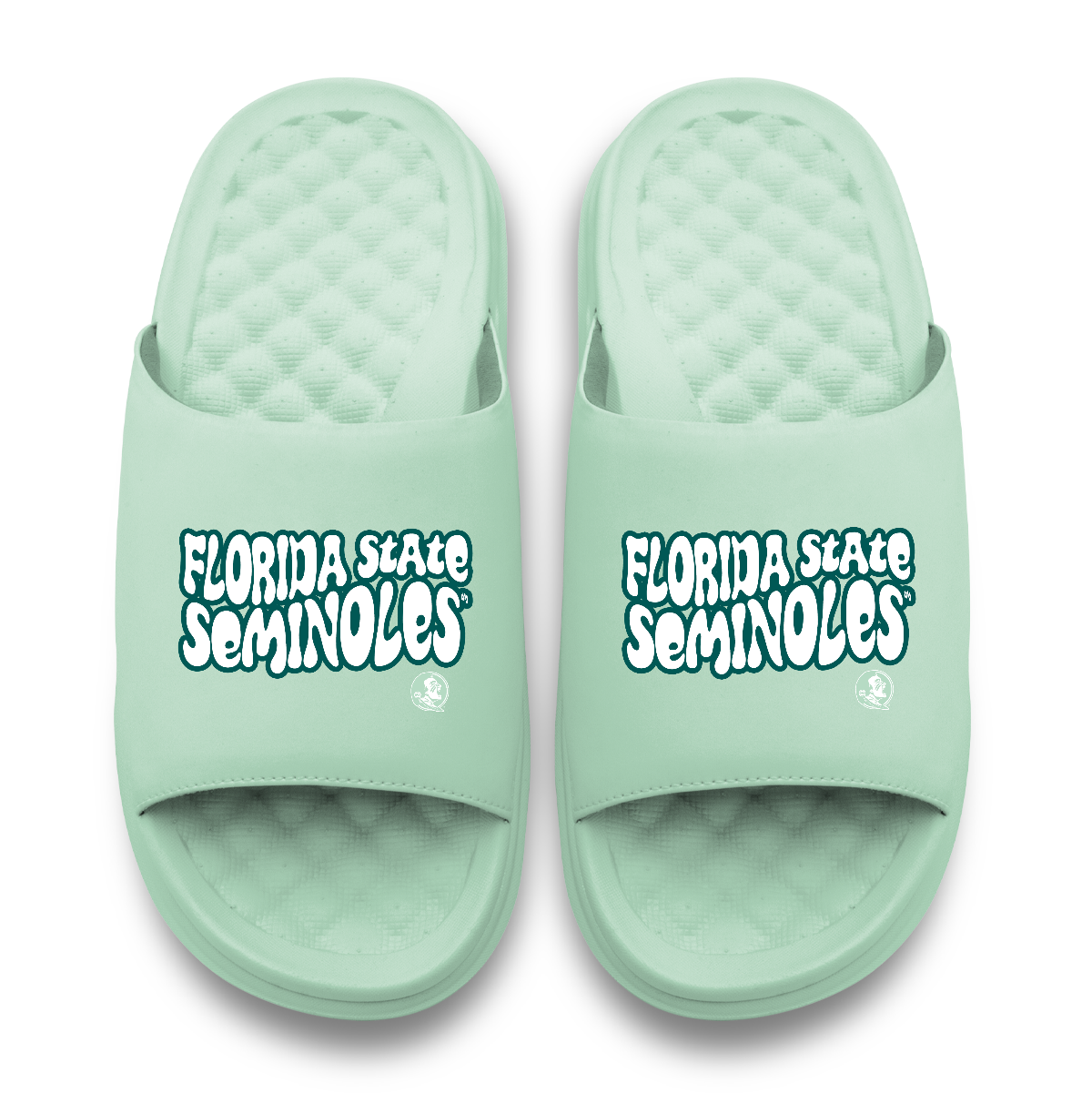 Florida State Seminoles Bubble Letters