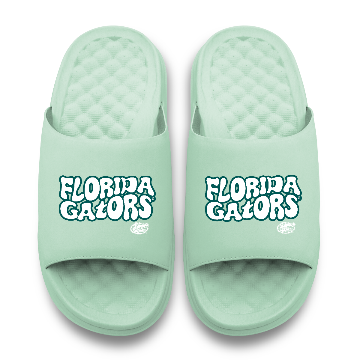 Florida Gators Bubble Letters