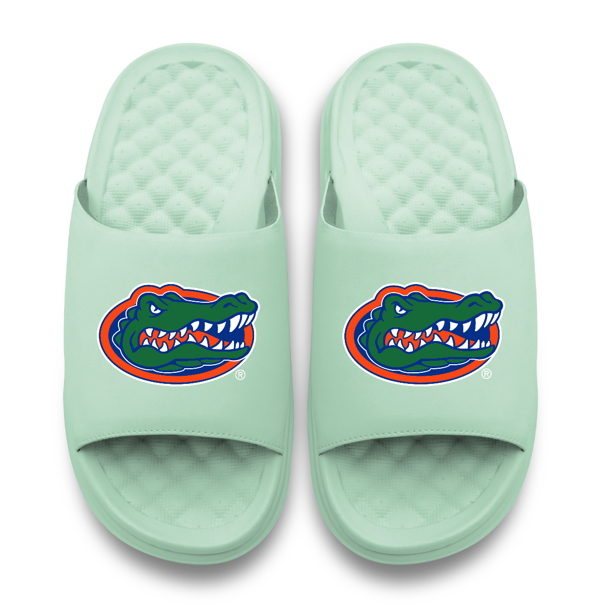Florida Gators Primary Logo Seafoam Motive