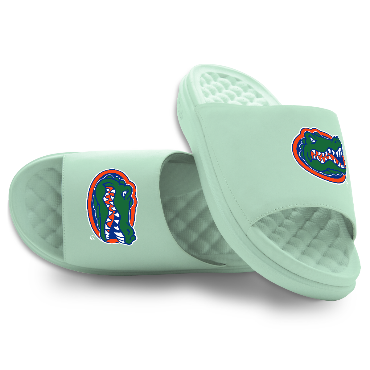 Florida Gators Primary Logo Seafoam Motive