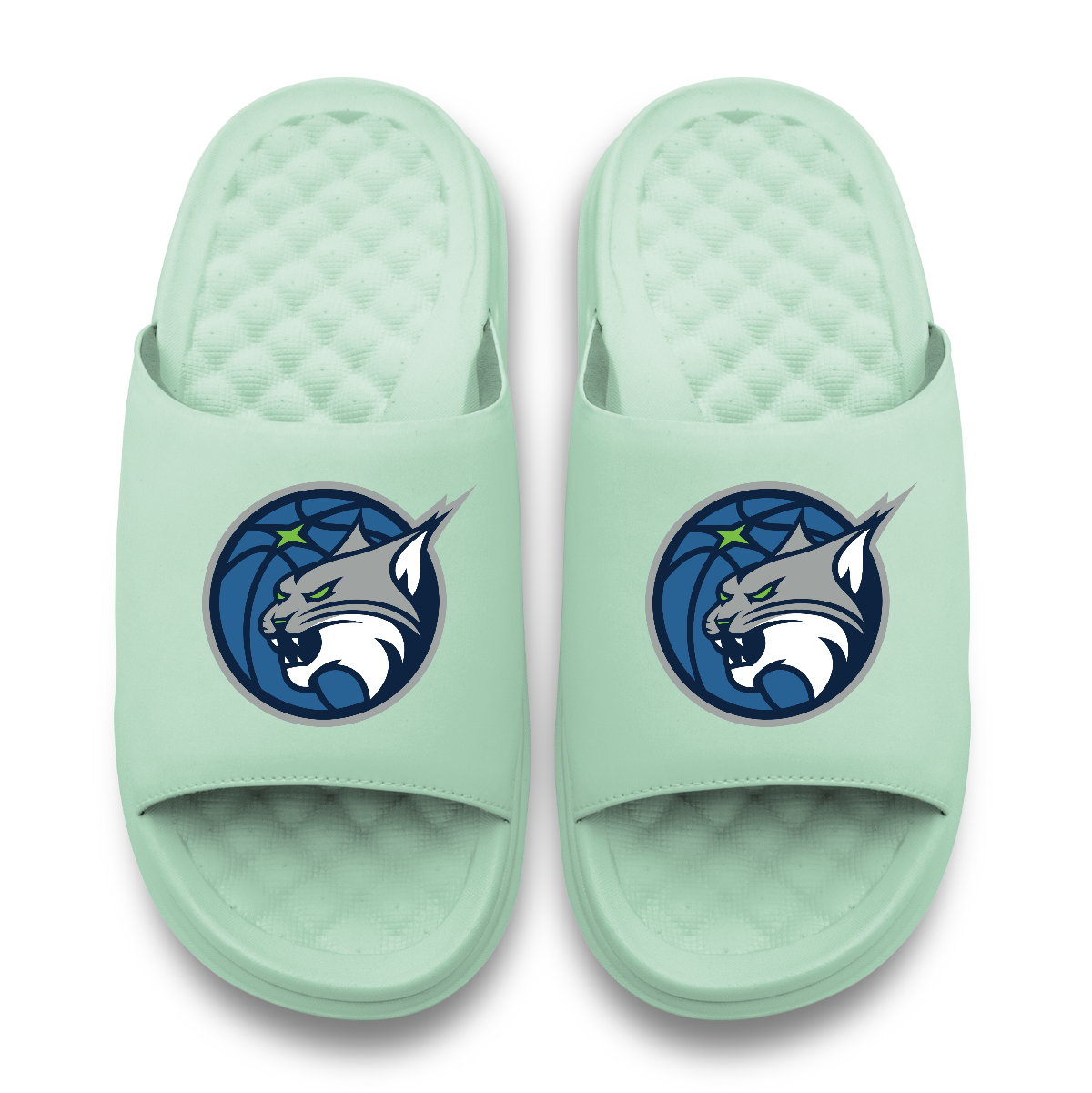 Minnesota Lynx Primary Logo