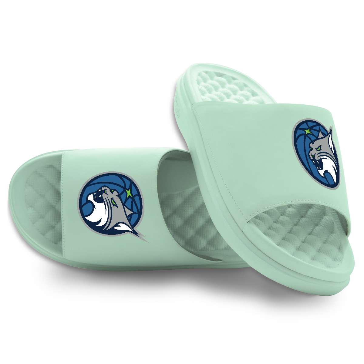 Minnesota Lynx Primary Logo