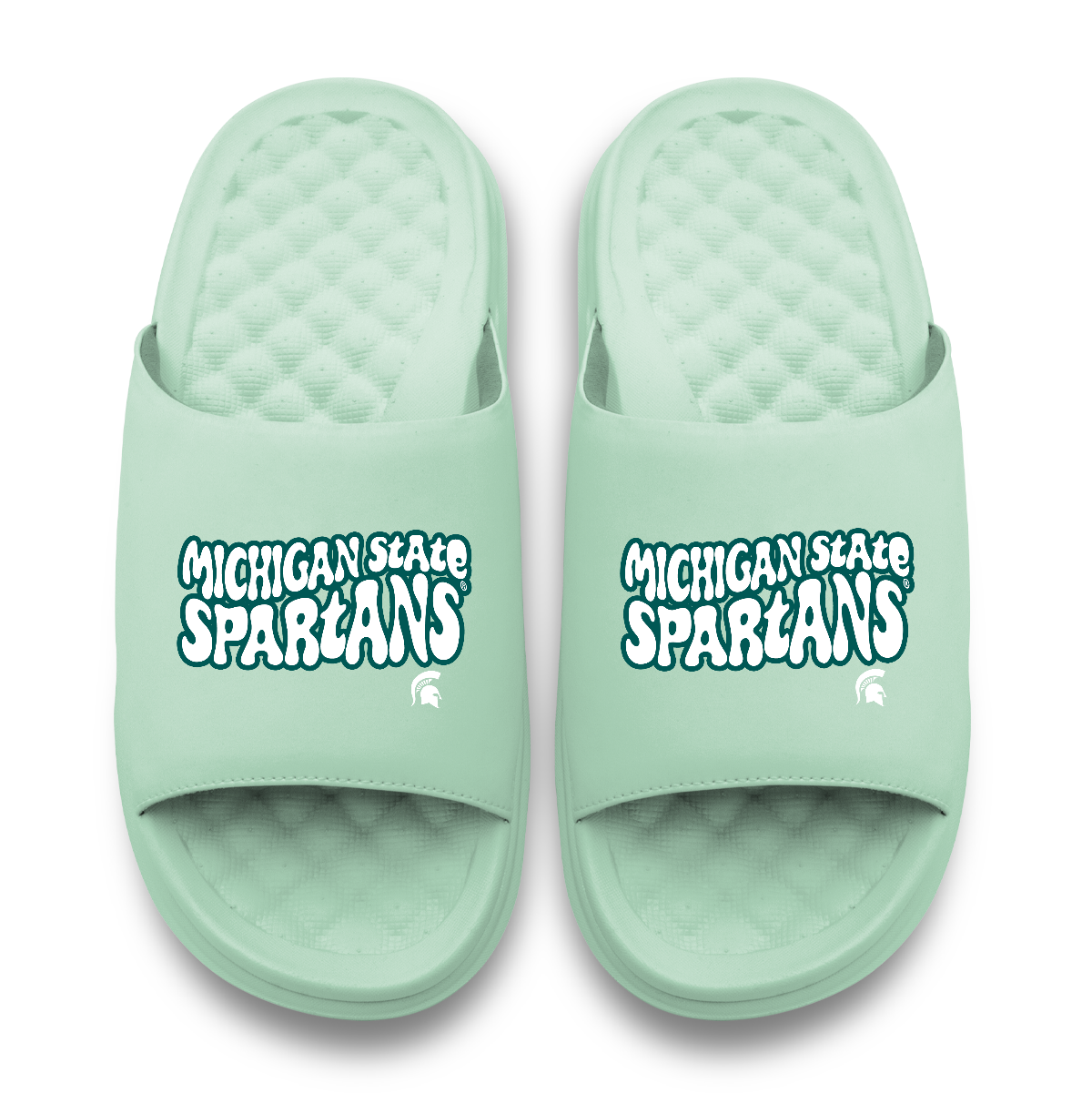 Michigan State Spartans Bubble Letters