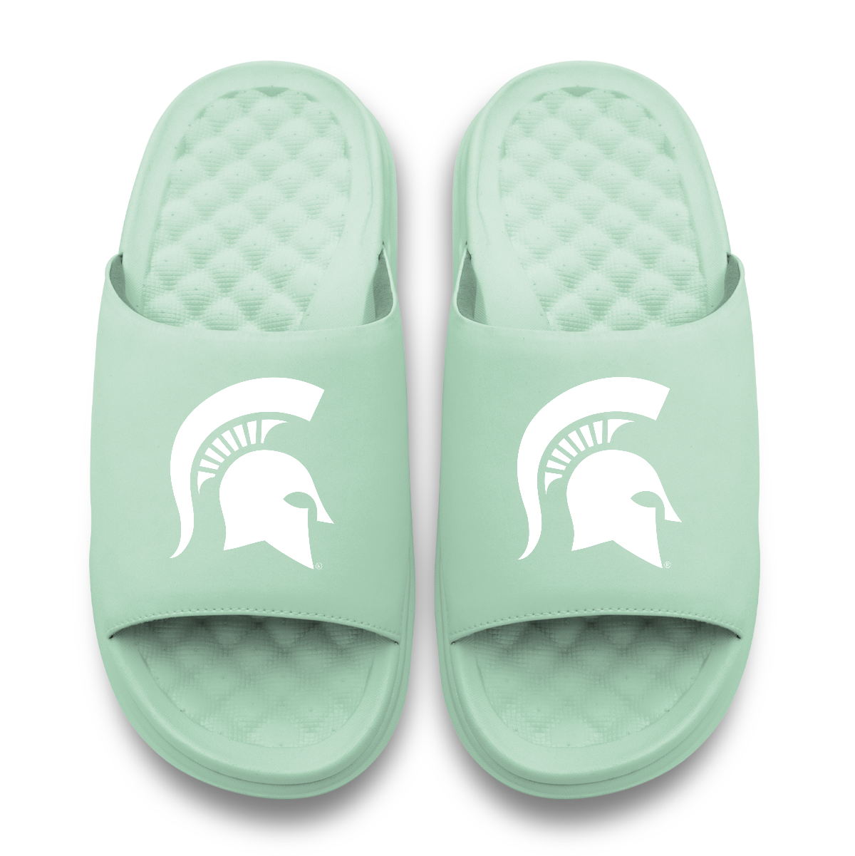 Michigan State Spartans Primary Logo