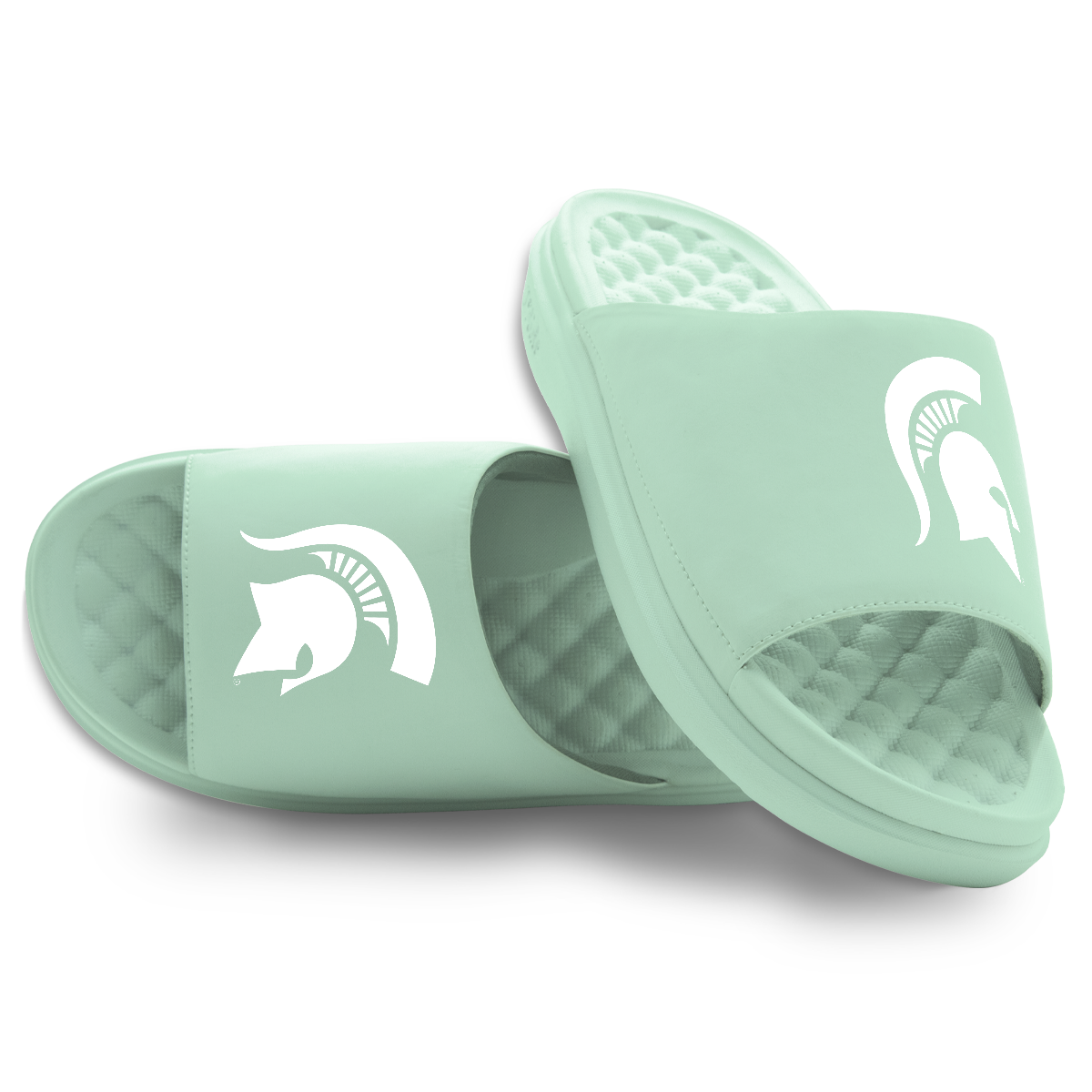 Michigan State Spartans Primary Logo