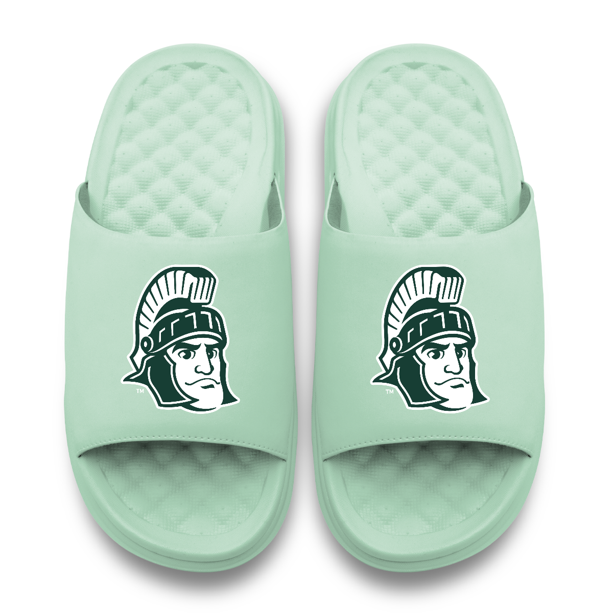 Michigan State Spartans Mascot Motive