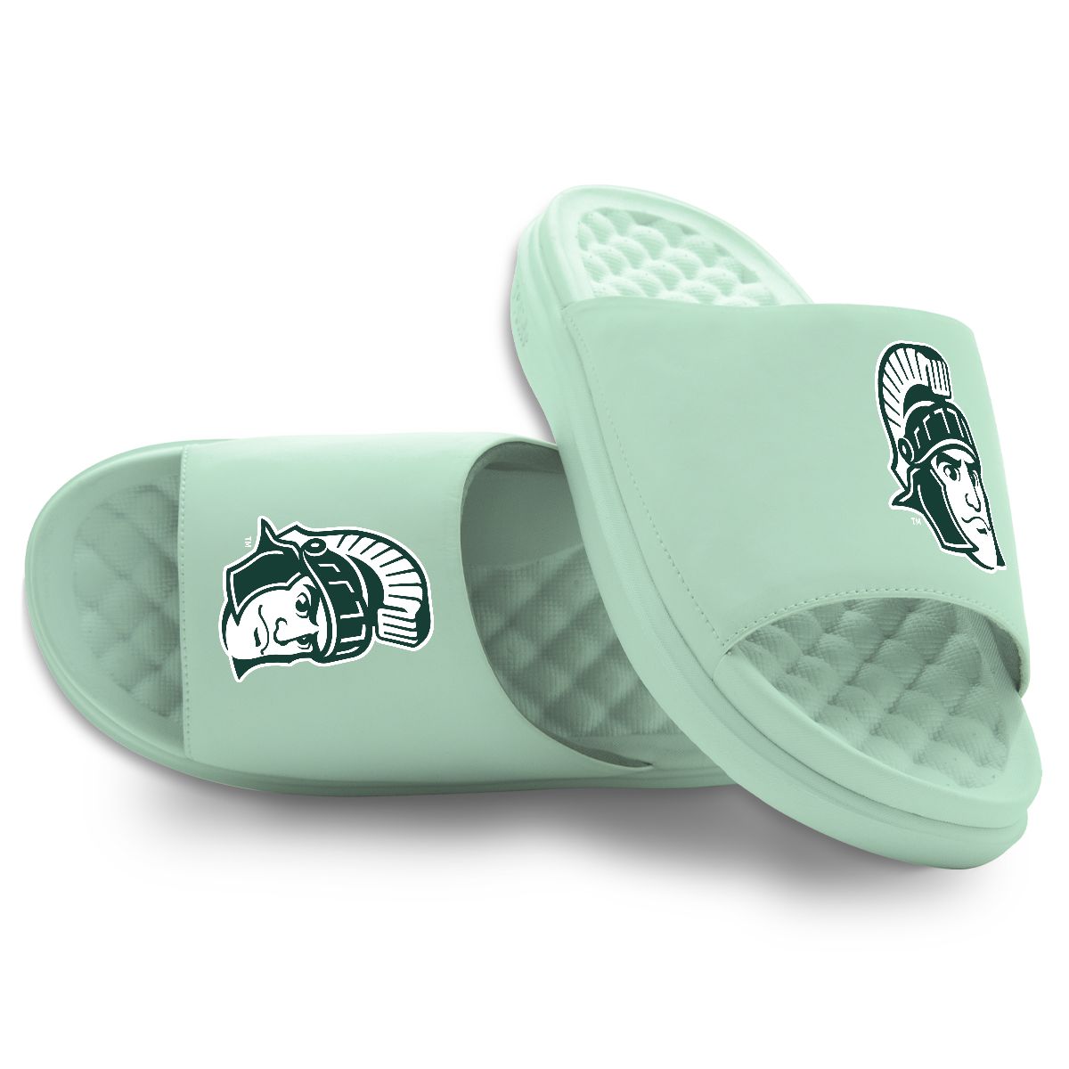 Michigan State Spartans Mascot Motive