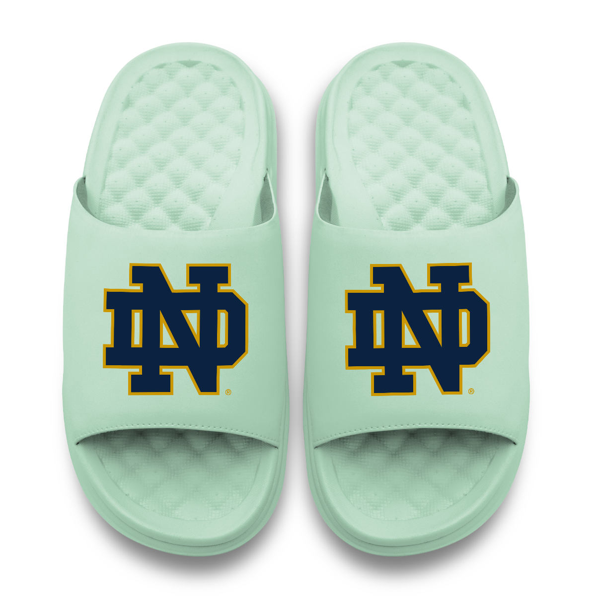 Notre Dame Fighting Irish Primary Logo Seafoam Motive