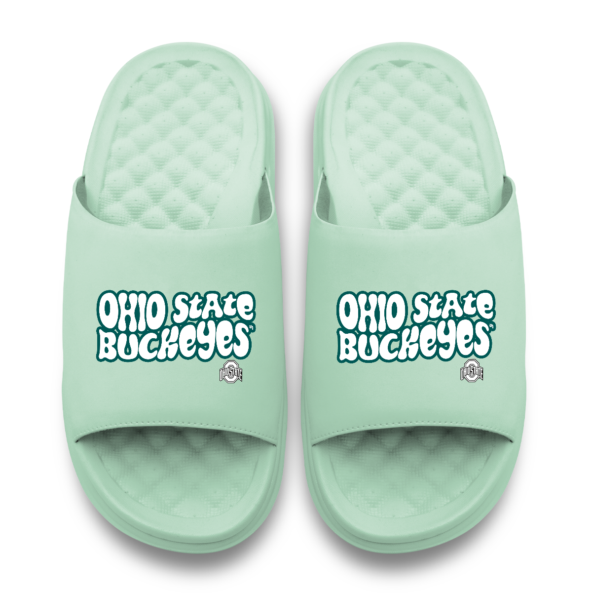 Ohio State Buckeyes Bubble Letters