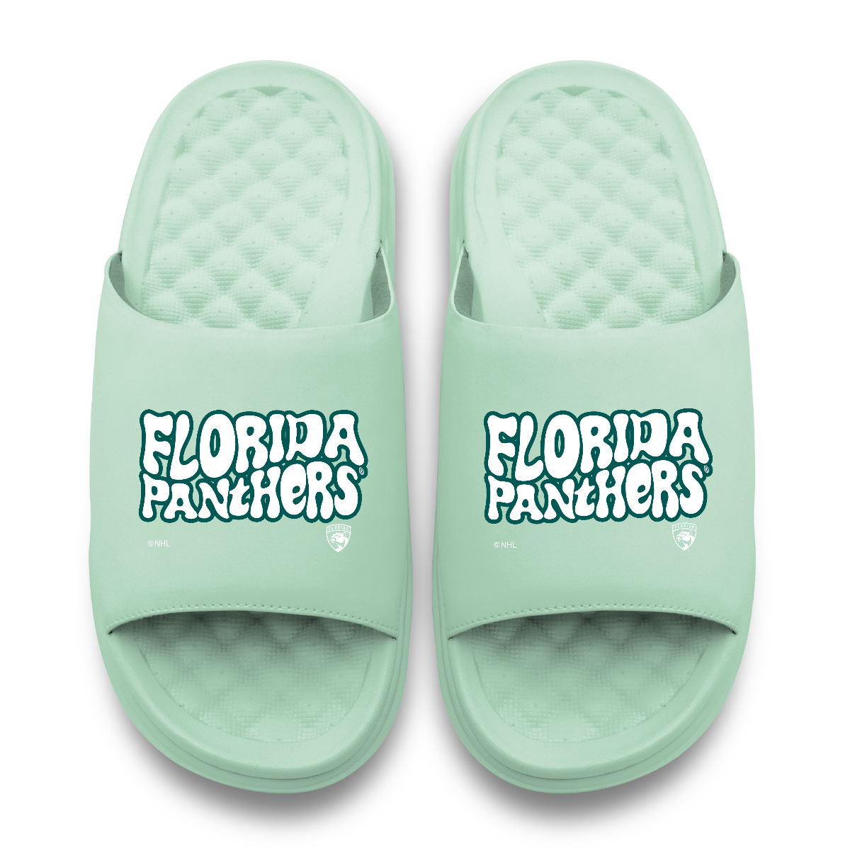 Florida Panthers Bubble Letters