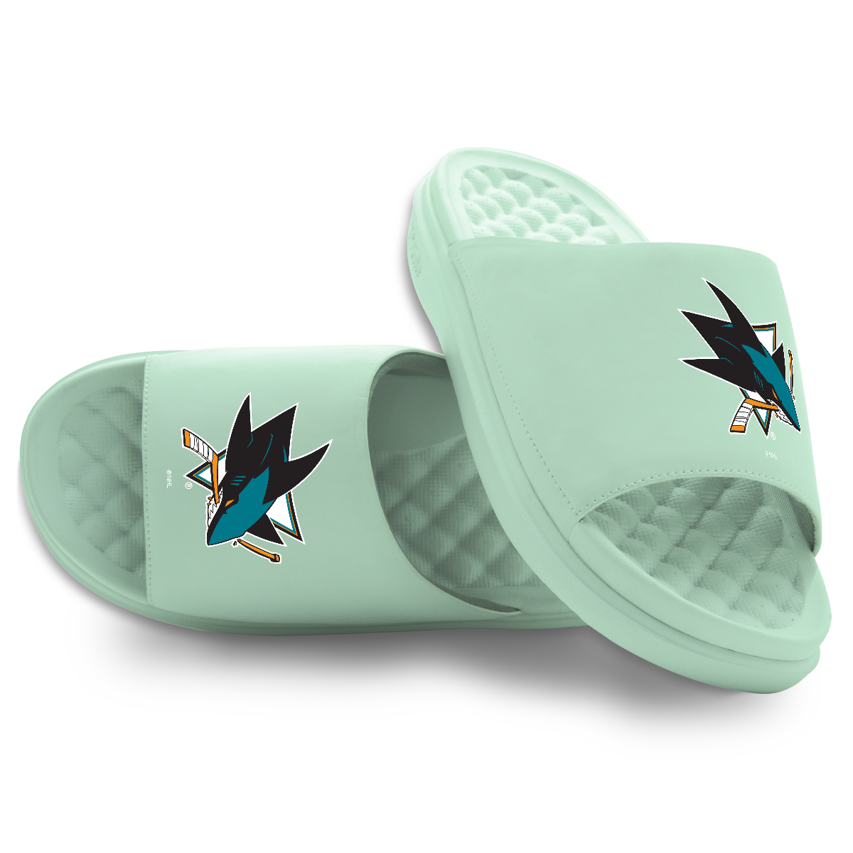 San Jose Sharks Primary Logo
