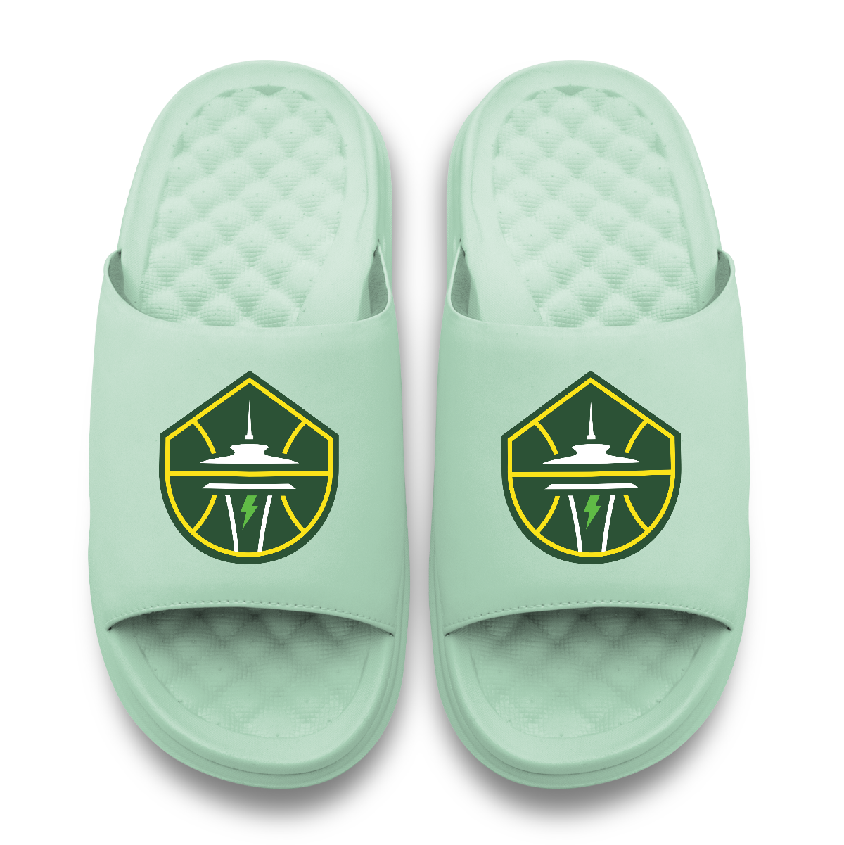 Seattle Storm Primary Logo