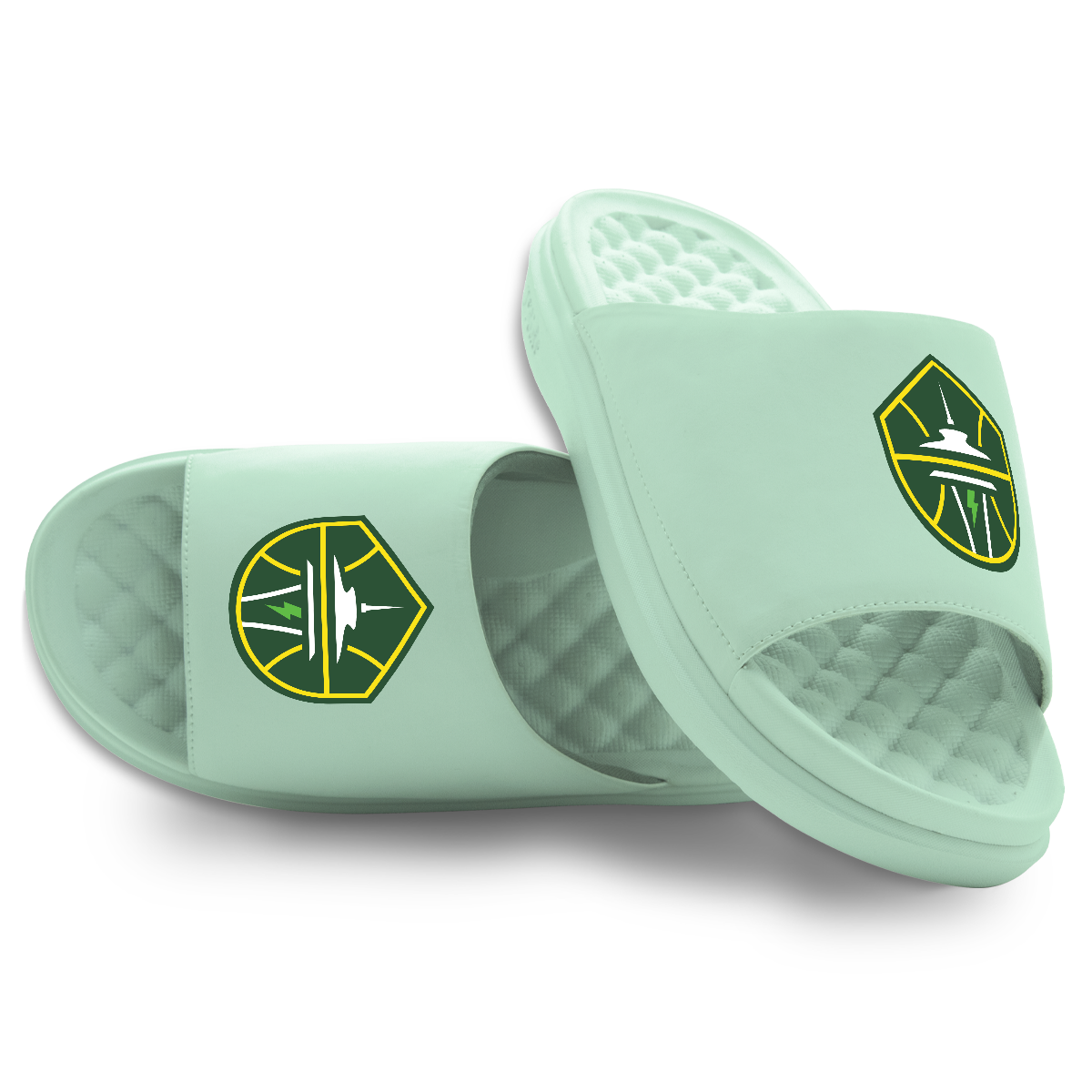 Seattle Storm Primary Logo
