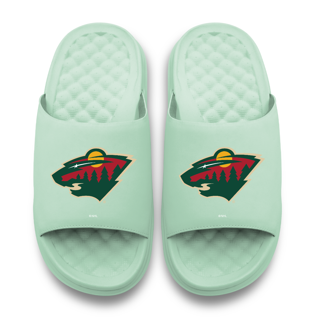 Minnesota Wild Primary Logo