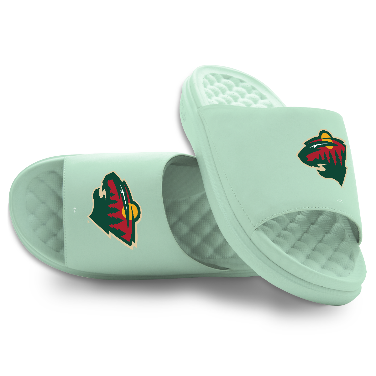 Minnesota Wild Primary Logo