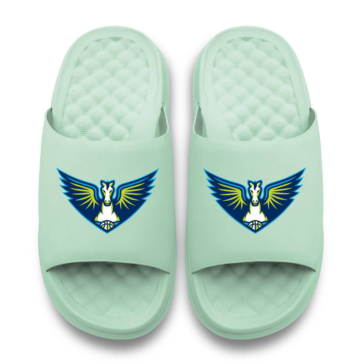 Dallas Wings Primary Logo Seafoam Motive