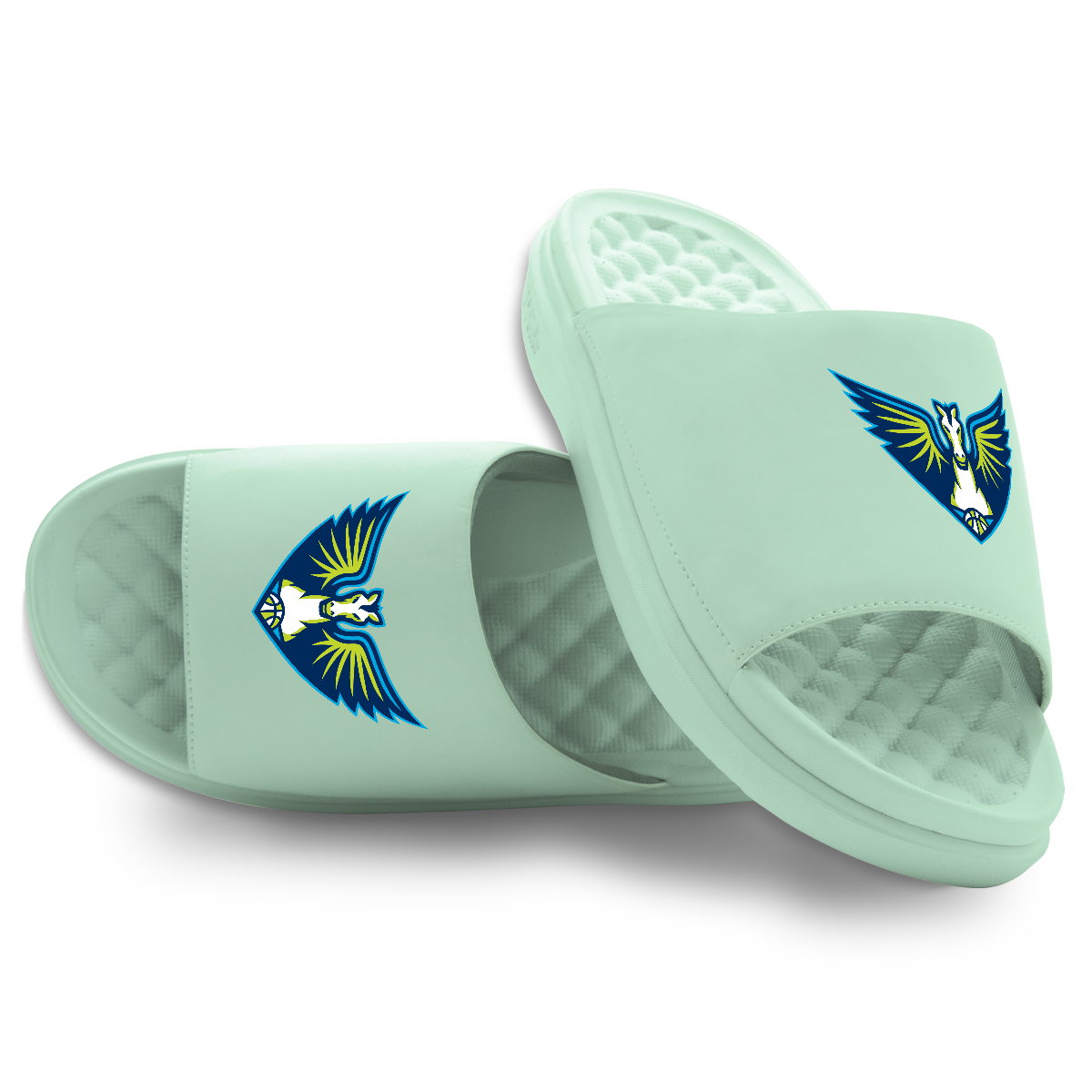 Dallas Wings Primary Logo Seafoam Motive