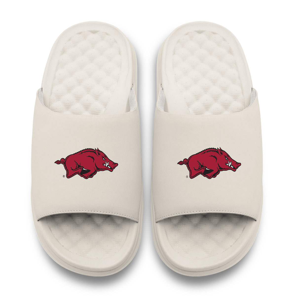 Arkansas Razorbacks Primary Motive