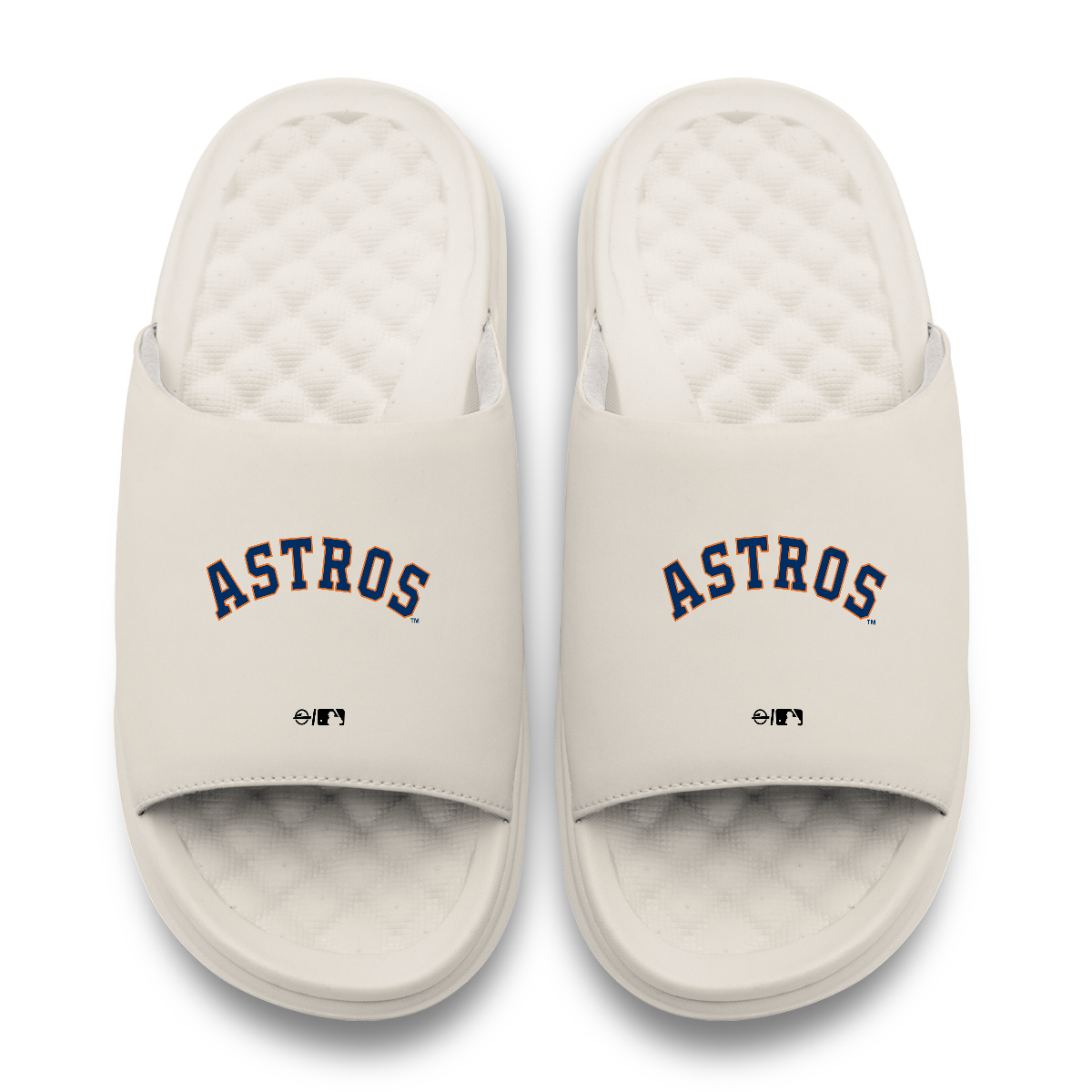 Houston Astros Wordmark Motive