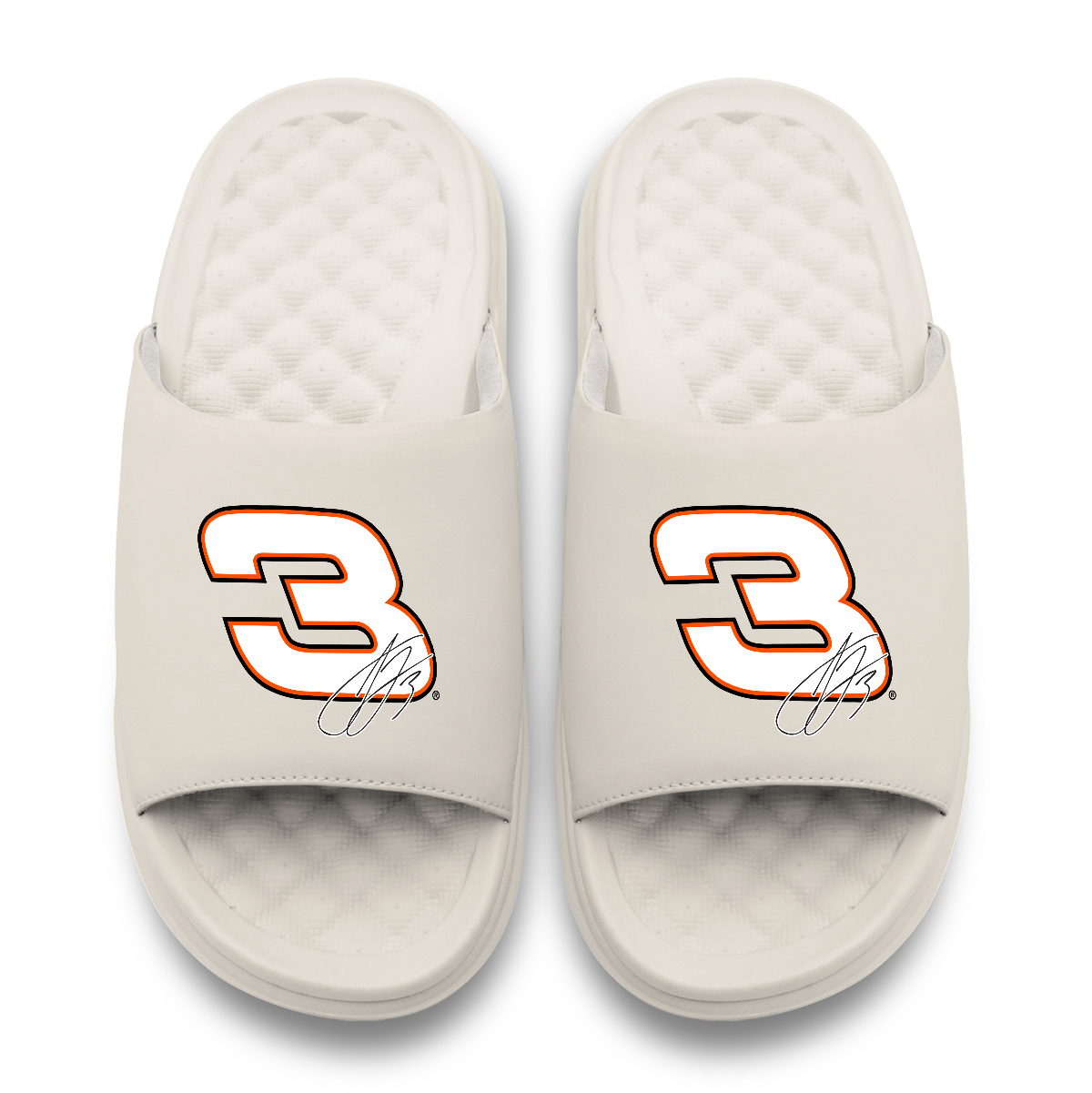 Austin Dillon Number Signature