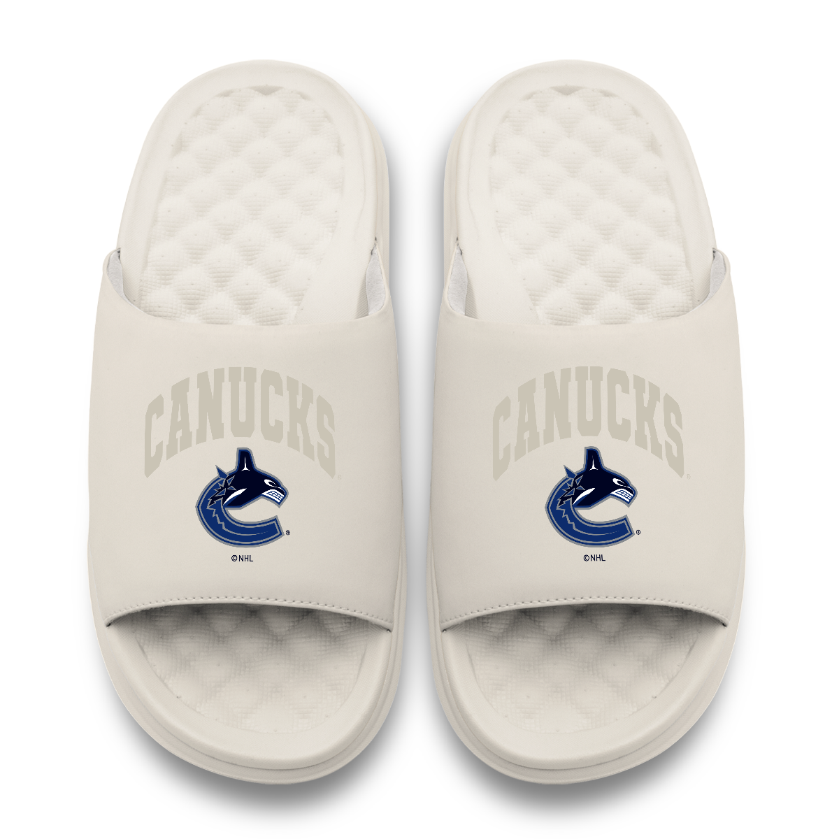 Vancouver Canucks Tonal Pop Motive