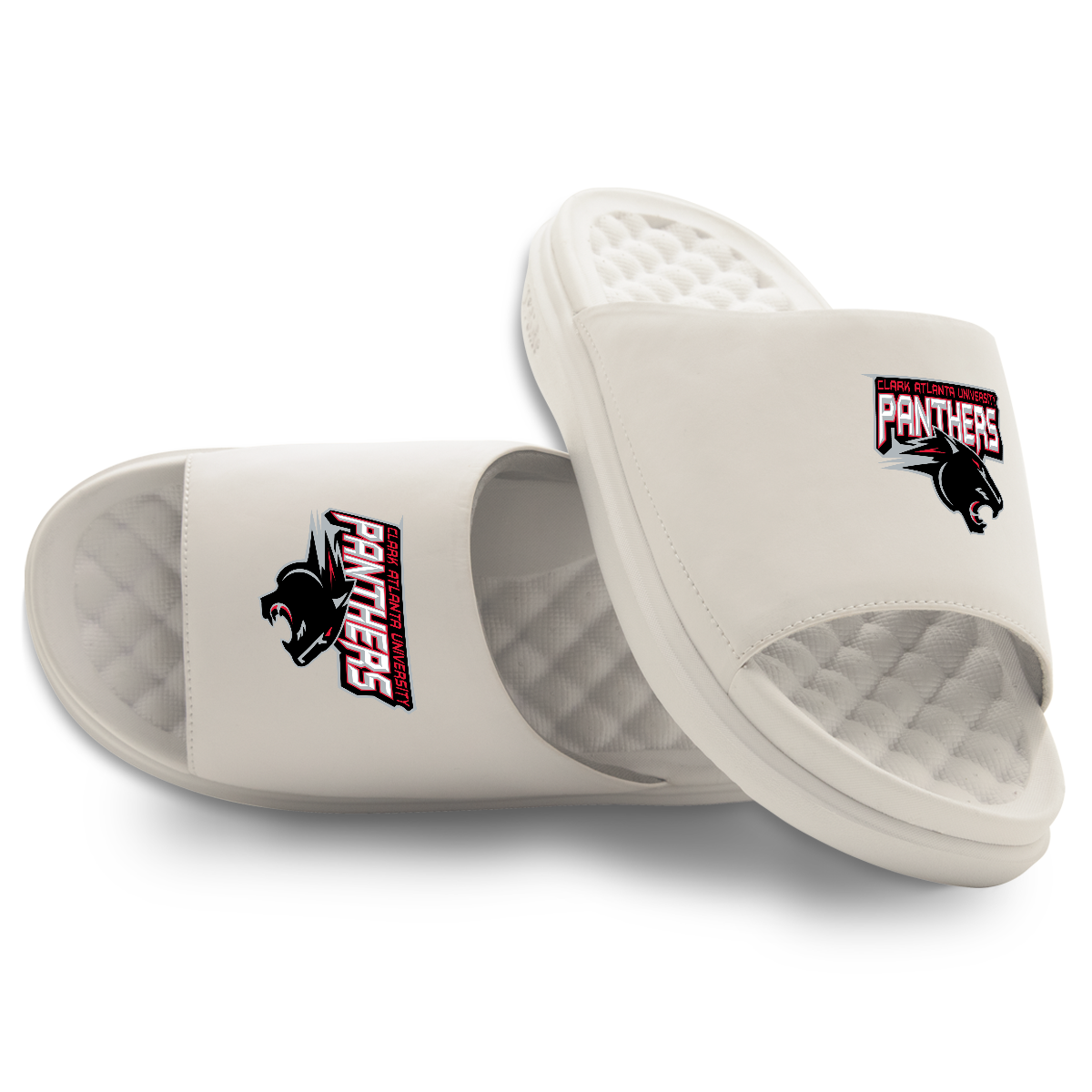 Clark Atlantic University Panthers Primary Motive