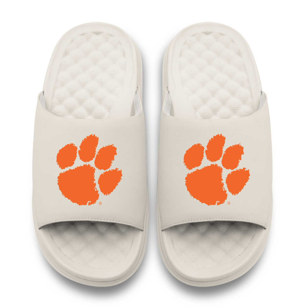 Clemson Tigers Primary Motive