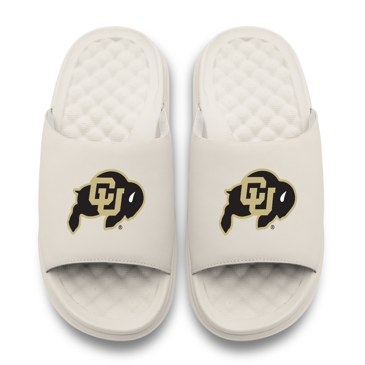 Colorado Buffaloes Primary Motive