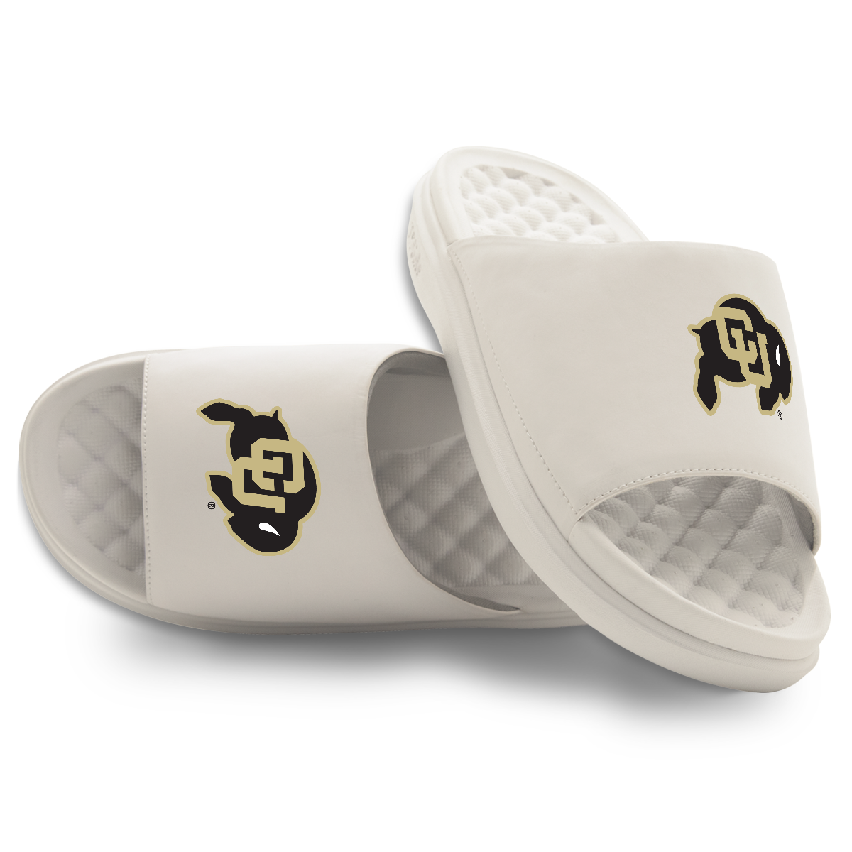 Colorado Buffaloes Primary Motive