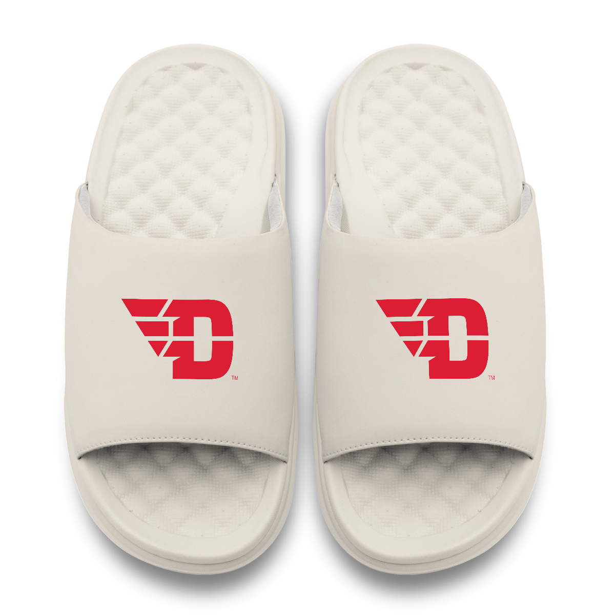 Dayton Flyers Primary Motive