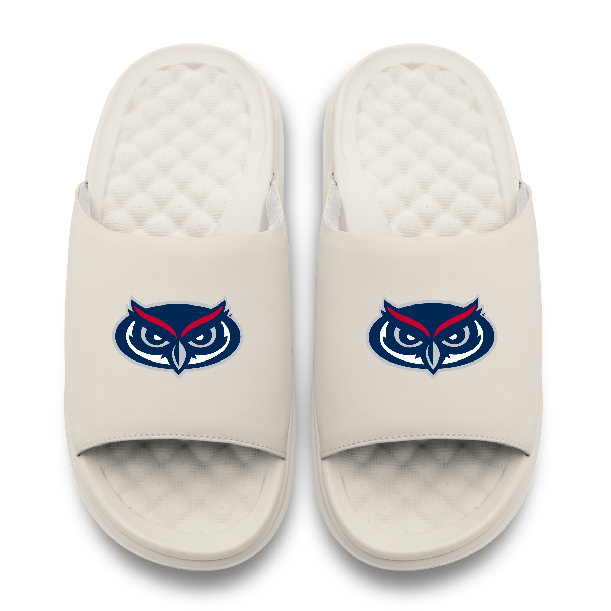 Florida Atlantic Owls Primary Motive