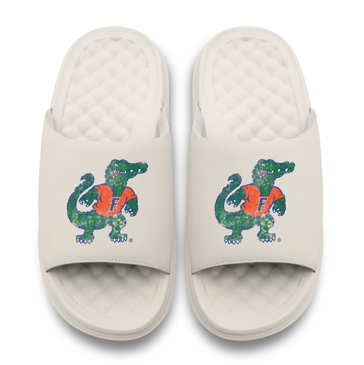 Florida Gators Pixeled Distressed Motive