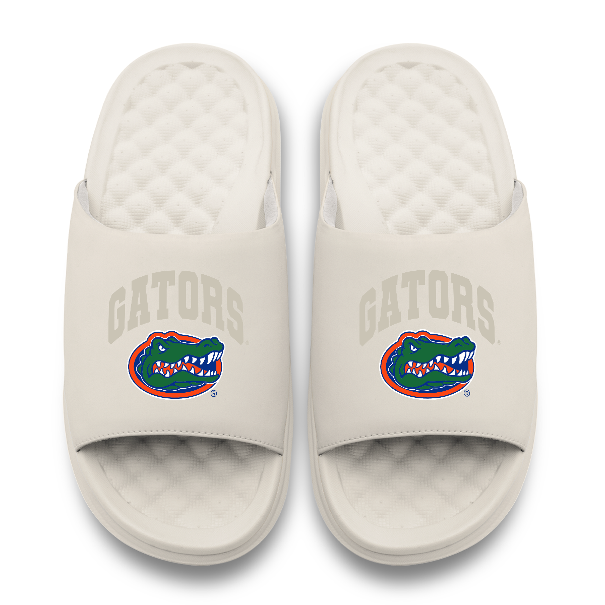 Florida Gators Tonal Pop Motive