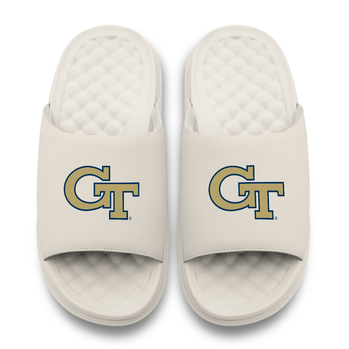 Georgia Tech Yellow Jackets Primary Motive