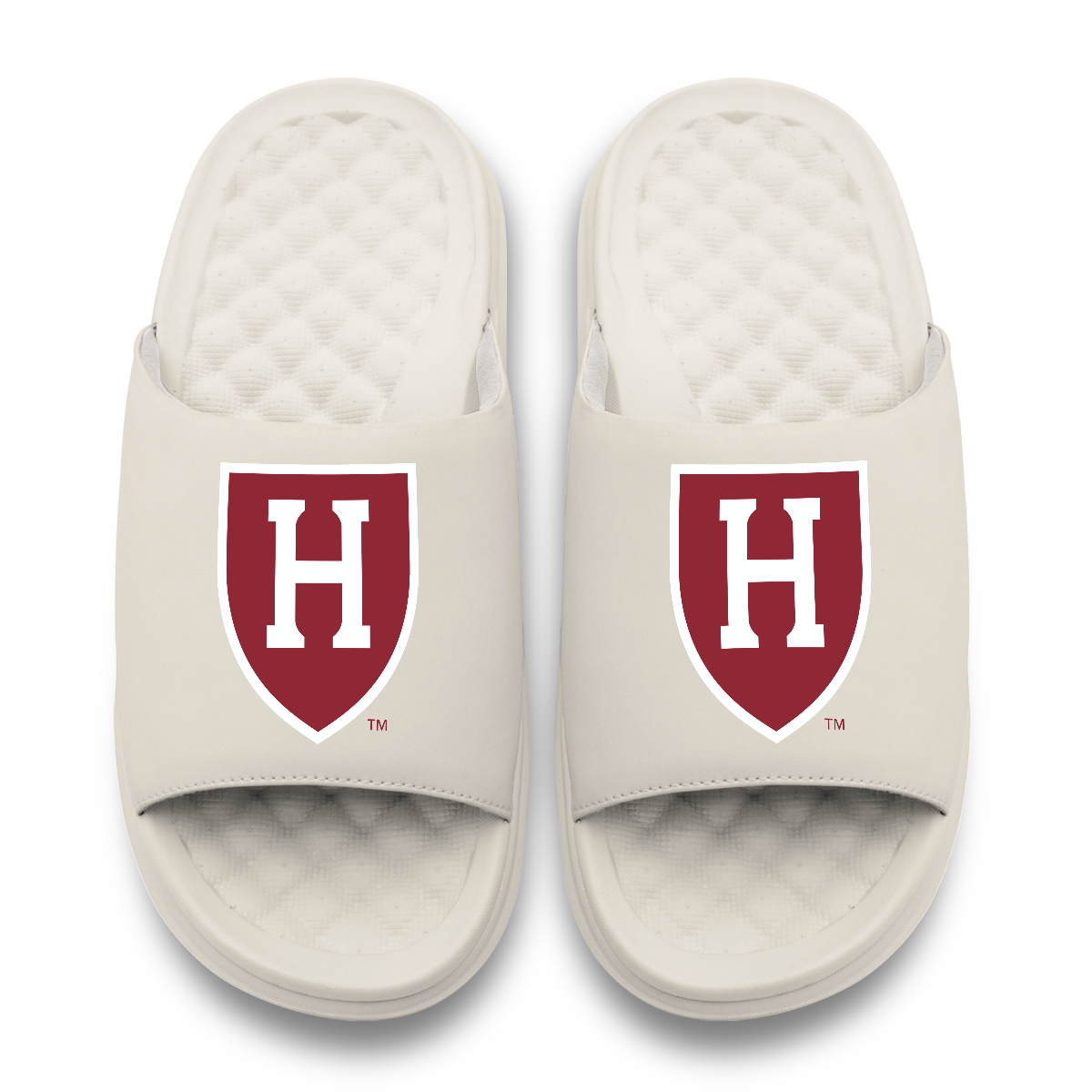 Harvard Crimson Primary Motive