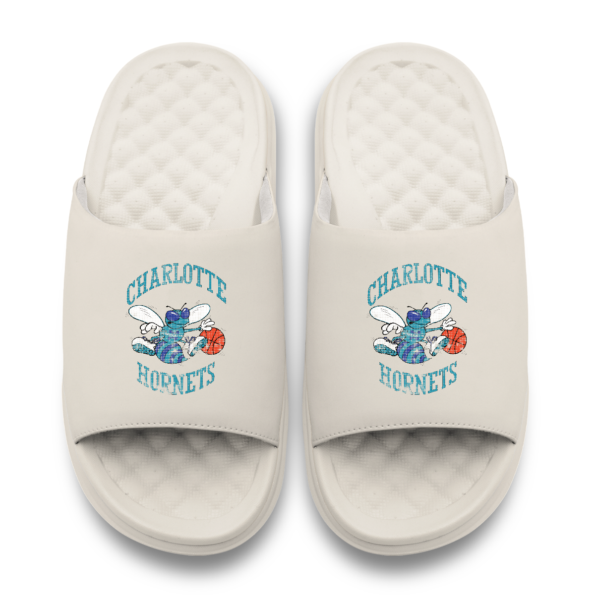 Charlotte Hornets Hardwood Classics Distressed Logo Motive