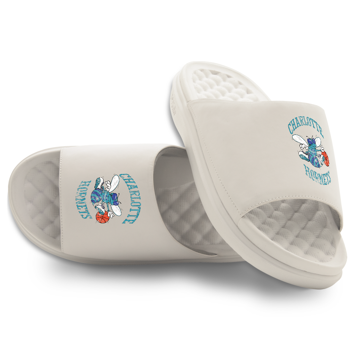 Charlotte Hornets Hardwood Classics Distressed Logo Motive