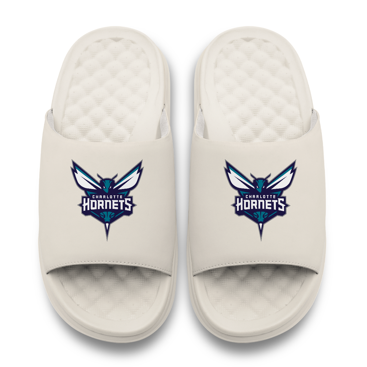 Charlotte Hornets Primary Motive