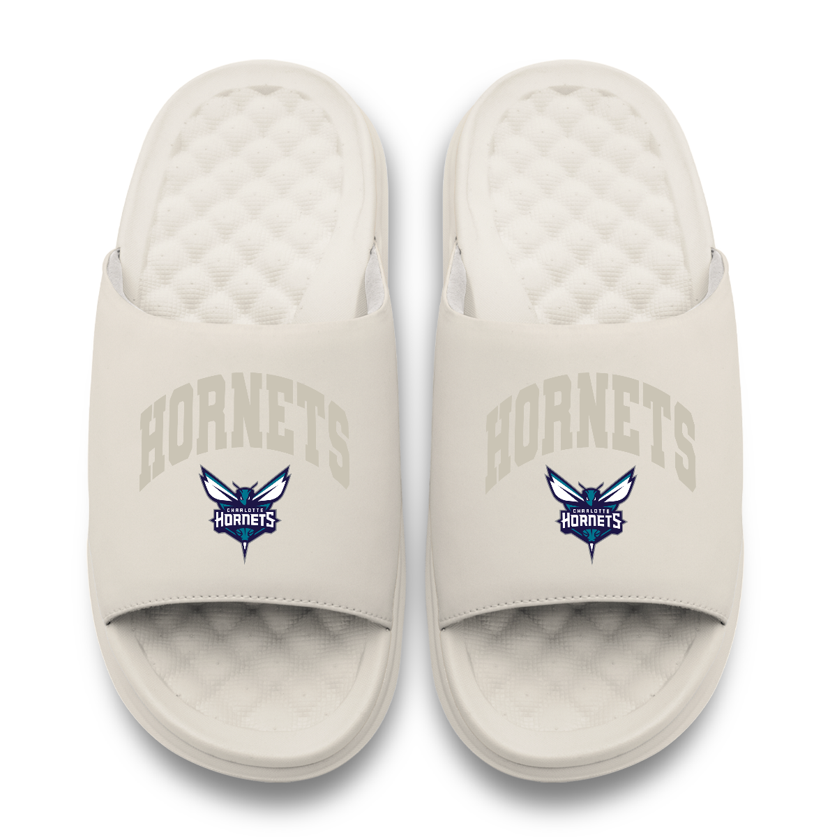 Charlotte Hornets Tonal Pop Motive
