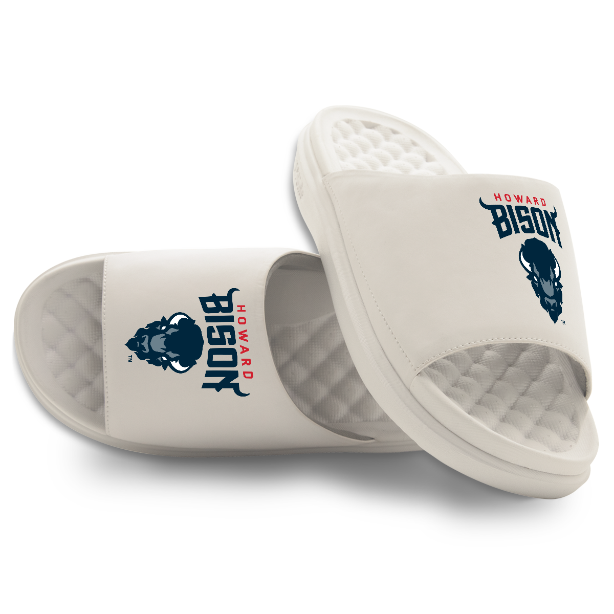 Howard Bison Primary Motive