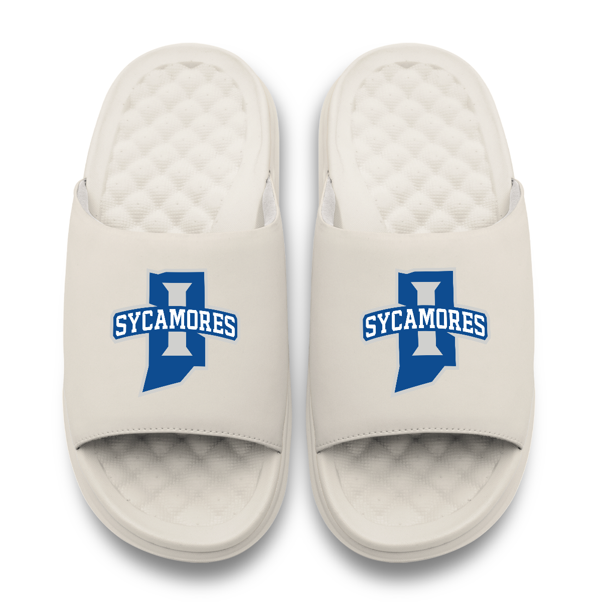 Indiana State Sycamores Primary Motive