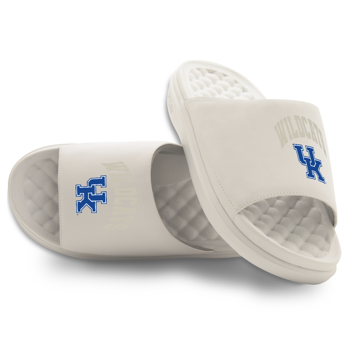 Kentucky Wildcats Tonal Pop Motive
