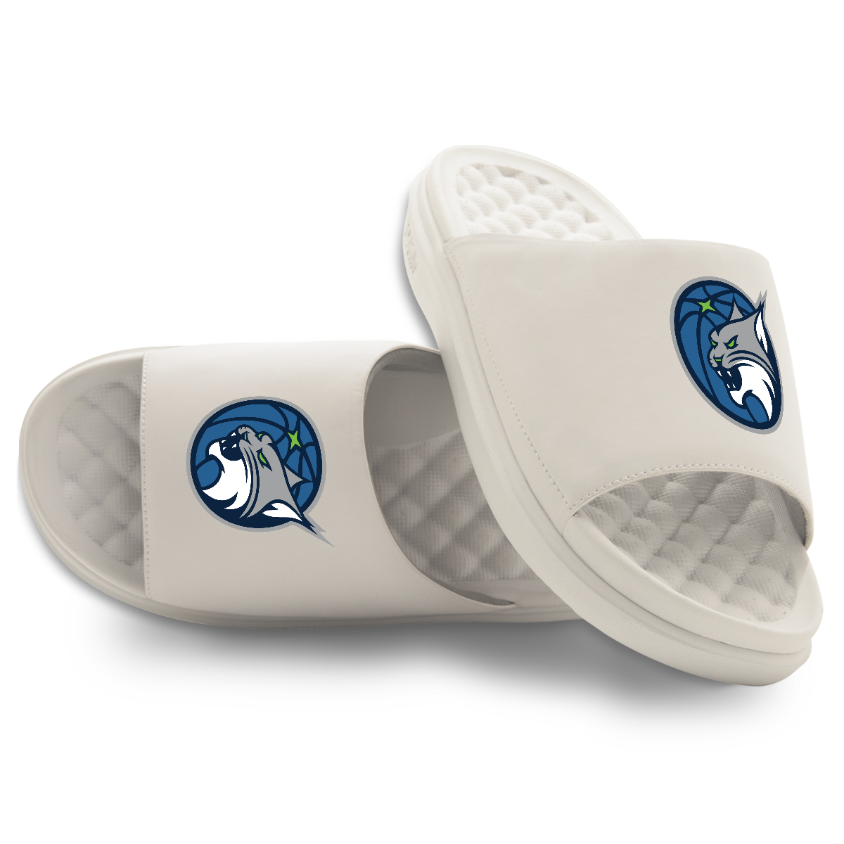 Minnesota Lynx Primary Motive